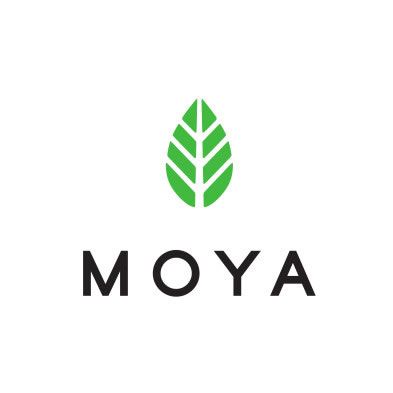 Mejor té Matcha, Moya Matcha